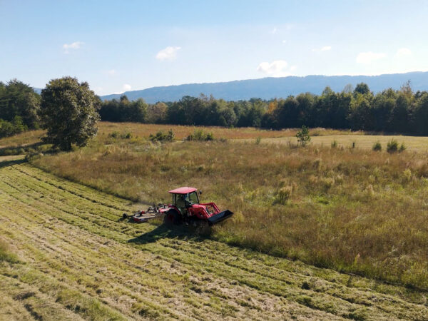 Mowing a pasture with IronCraft's 10 ft Flex-Wing Cutter (2510)